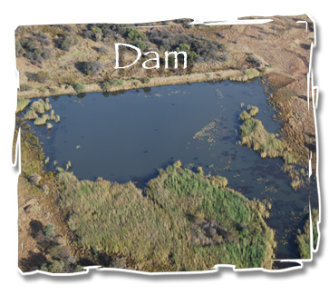 dam